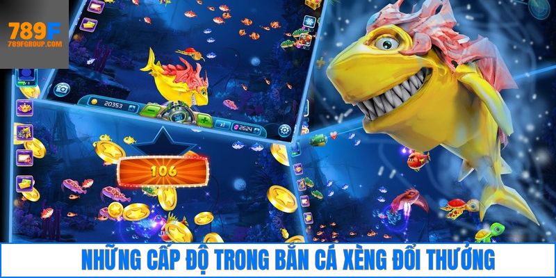 Những cấp độ phổ biến trong săn cá xèng
